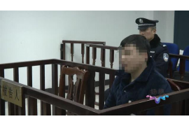 袁州企业清欠服务